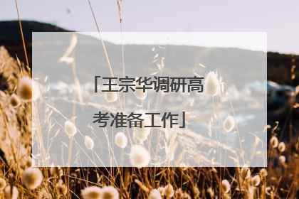 王宗华调研高考准备工作