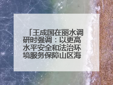 王成国在丽水调研时强调：以更高水平安全和法治环境服务保障山区海岛县高质量发展