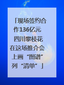 现场签约合作136亿元 四川攀枝花在这场推介会上画“图谱”列“清单”