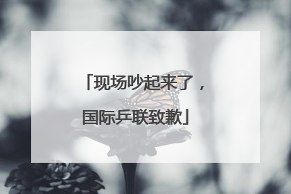 现场吵起来了，国际乒联致歉