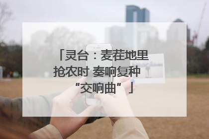 灵台：麦茬地里抢农时 奏响复种“交响曲”