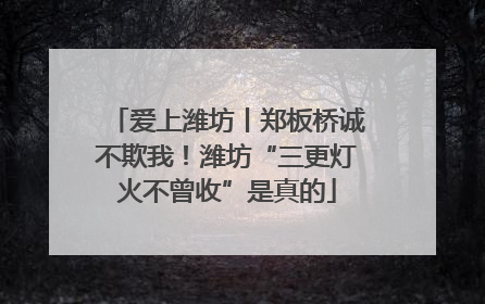爱上潍坊丨郑板桥诚不欺我！潍坊“三更灯火不曾收”是真的