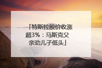 特斯拉股价收涨超3%：马斯克父亲劝儿子低头