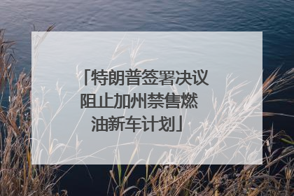 特朗普签署决议 阻止加州禁售燃油新车计划