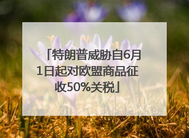 特朗普威胁自6月1日起对欧盟商品征收50%关税
