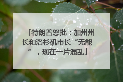 特朗普怒批：加州州长和洛杉矶市长“无能”，现在一片混乱