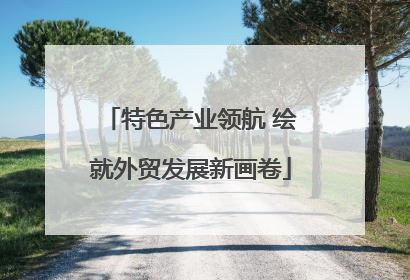 特色产业领航 绘就外贸发展新画卷