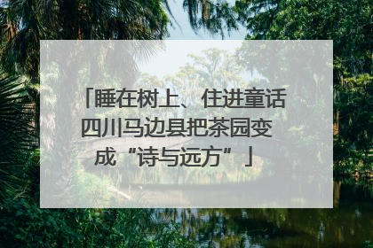 睡在树上、住进童话 四川马边县把茶园变成“诗与远方”
