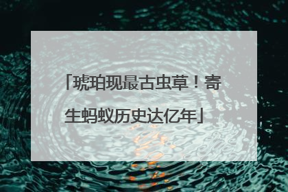 琥珀现最古虫草！寄生蚂蚁历史达亿年