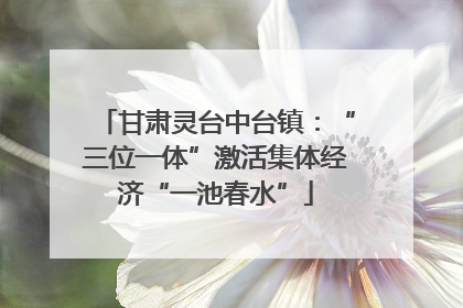 甘肃灵台中台镇：“三位一体”激活集体经济“一池春水”