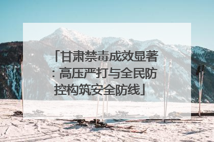 甘肃禁毒成效显著：高压严打与全民防控构筑安全防线