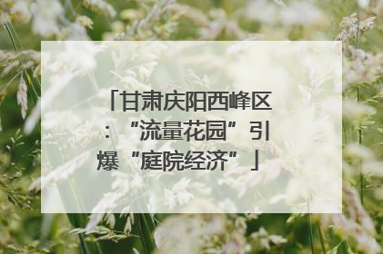 甘肃庆阳西峰区：“流量花园”引爆“庭院经济”