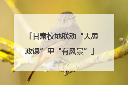 甘肃校地联动“大思政课”里“有风景”