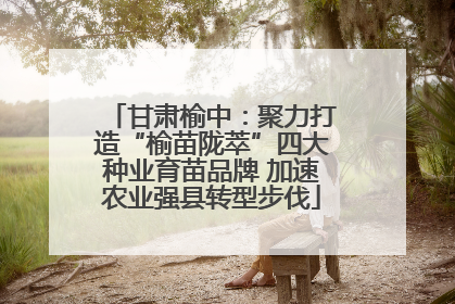 甘肃榆中：聚力打造“榆苗陇萃”四大种业育苗品牌 加速农业强县转型步伐