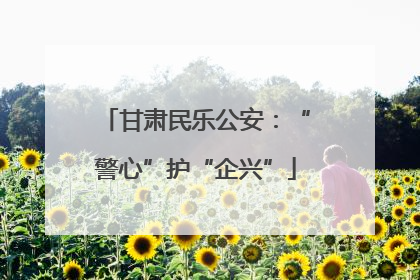 甘肃民乐公安：“警心”护“企兴”