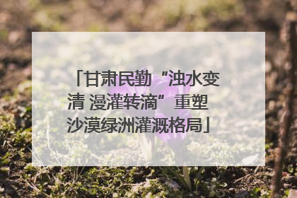 甘肃民勤“浊水变清 漫灌转滴”重塑沙漠绿洲灌溉格局