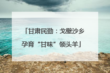 甘肃民勤：戈壁沙乡孕育“甘味”领头羊