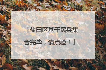 盐田区基干民兵集合完毕，请点验！