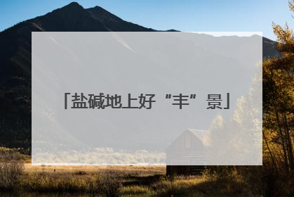盐碱地上好“丰”景