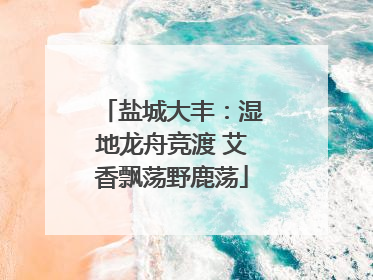 盐城大丰：湿地龙舟竞渡 艾香飘荡野鹿荡