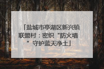 盐城市亭湖区新兴镇联盟村：密织“防火墙”守护蓝天净土