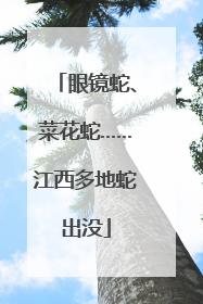 眼镜蛇、菜花蛇……江西多地蛇出没