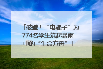 破壁！“电骡子”为774名学生筑起暴雨中的“生命方舟”