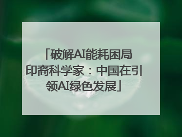 破解AI能耗困局 印裔科学家：中国在引领AI绿色发展