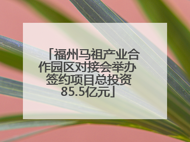 福州马祖产业合作园区对接会举办 签约项目总投资85.5亿元