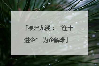 福建尤溪：“逢十进企” 为企解难