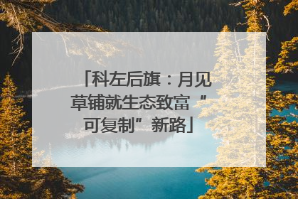 科左后旗：月见草铺就生态致富“可复制”新路