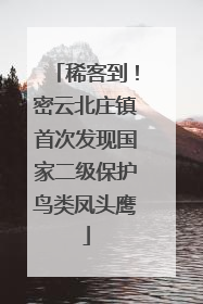 稀客到！密云北庄镇首次发现国家二级保护鸟类凤头鹰
