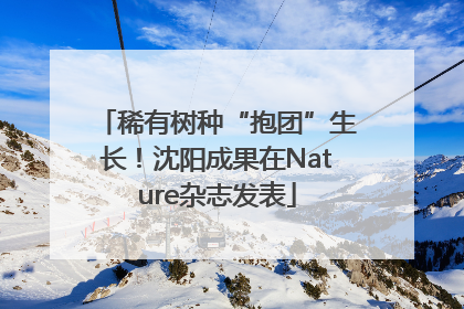 稀有树种“抱团”生长！沈阳成果在Nature杂志发表