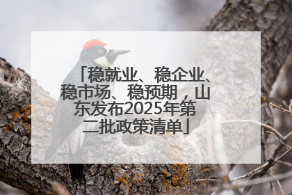 稳就业、稳企业、稳市场、稳预期，山东发布2025年第二批政策清单