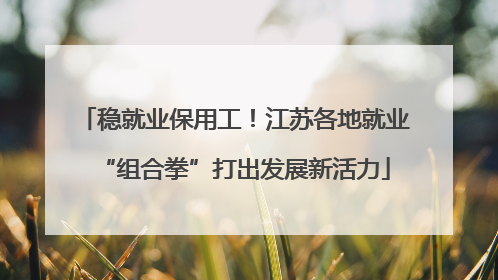 稳就业保用工！江苏各地就业“组合拳”打出发展新活力