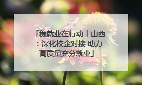 稳就业在行动丨山西：深化校企对接 助力高质量充分就业