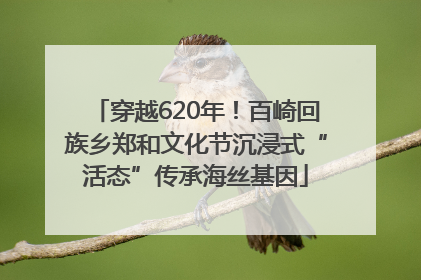 穿越620年！百崎回族乡郑和文化节沉浸式“活态”传承海丝基因