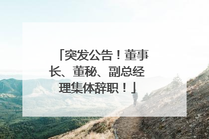 突发公告！董事长、董秘、副总经理集体辞职！