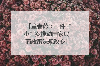 章春燕：一件“小”案推动国家层面政策法规改变