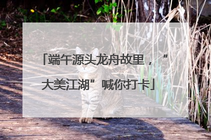 端午源头龙舟故里，“大美江湖”喊你打卡