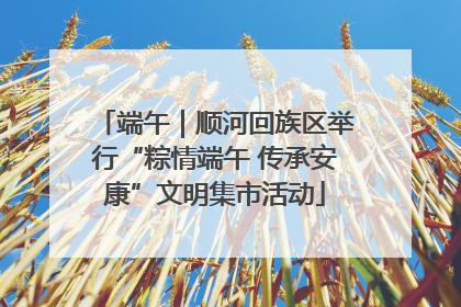 端午｜顺河回族区举行“粽情端午 传承安康”文明集市活动