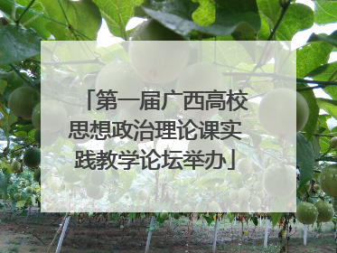 第一届广西高校思想政治理论课实践教学论坛举办