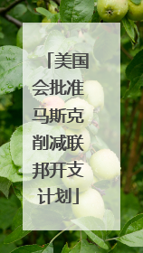 美国会批准马斯克削减联邦开支计划