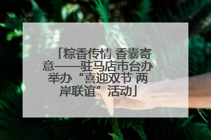 粽香传情 香囊寄意——驻马店市台办举办“喜迎双节 两岸联谊”活动