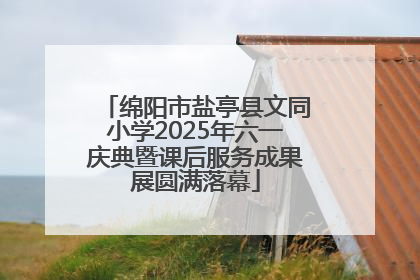 绵阳市盐亭县文同小学2025年六一庆典暨课后服务成果展圆满落幕