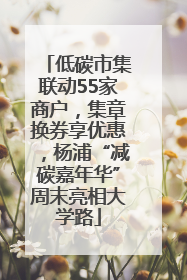 低碳市集联动55家商户，集章换券享优惠，杨浦“减碳嘉年华”周末亮相大学路