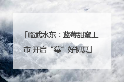 临武水东：蓝莓甜蜜上市 开启“莓”好初夏
