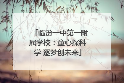 临汾一中第一附属学校：童心探科学 逐梦创未来