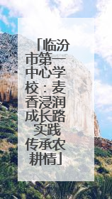 临汾市第一中心学校：麦香浸润成长路 实践传承农耕情
