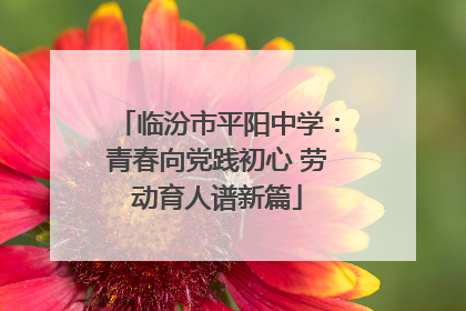 临汾市平阳中学：青春向党践初心 劳动育人谱新篇